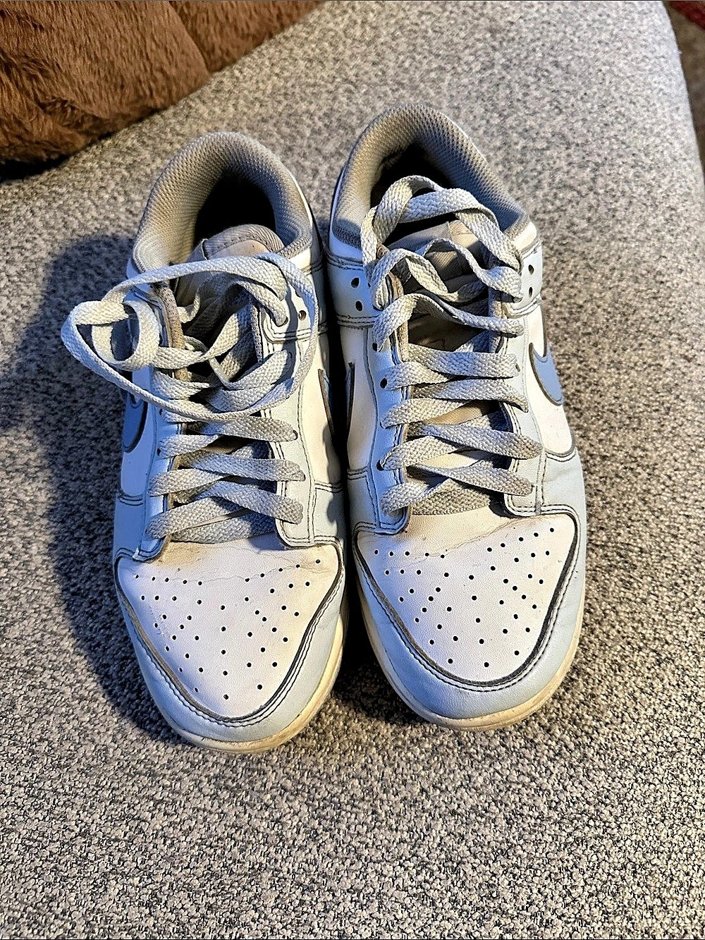 Nike Dunk Low Sneakers in White & Blue